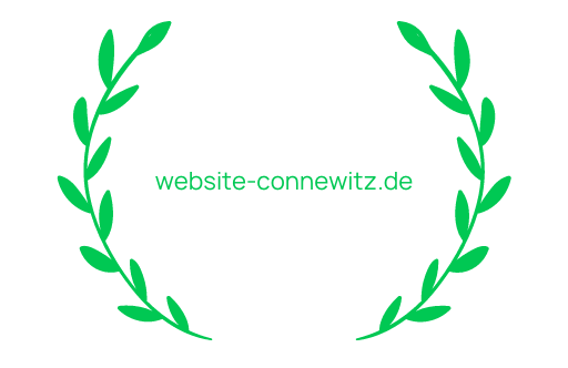 Website erstellen lassen in Leipzig Connewitz